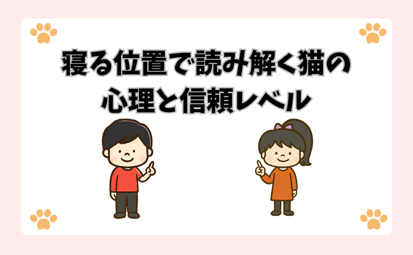 寝る位置で読み解く猫の心理と信頼レベル