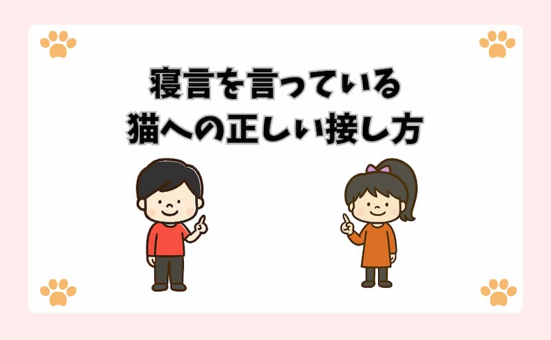 寝言を言っている猫への正しい接し方