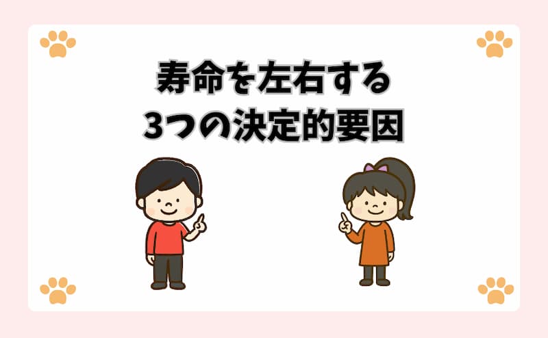 寿命を左右する3つの決定的要因