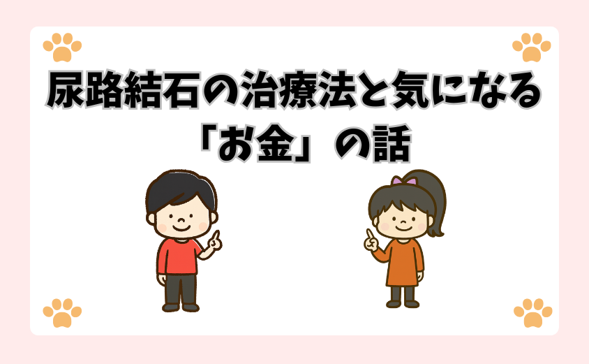 尿路結石の治療法と気になる「お金」の話
