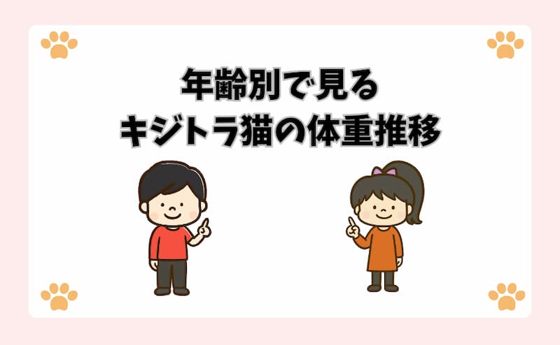 年齢別で見るキジトラ猫の体重推移