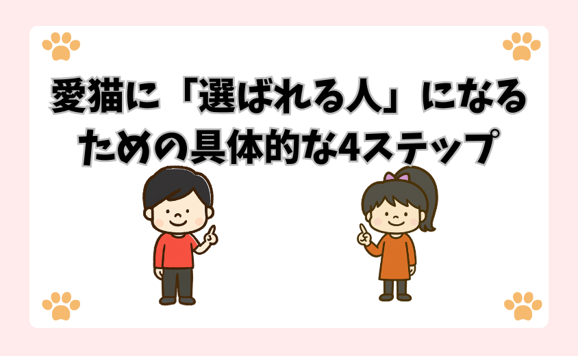 愛猫に「選ばれる人」になるための具体的な4ステップ