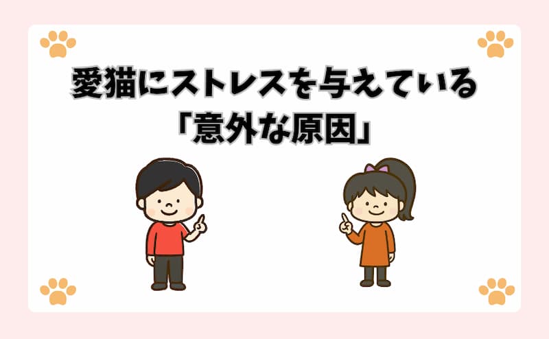 愛猫にストレスを与えている「意外な原因」
