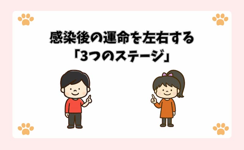 感染後の運命を左右する「3つのステージ」