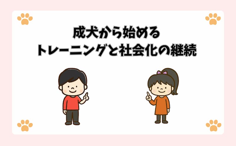 成犬から始めるトレーニングと社会化の継続