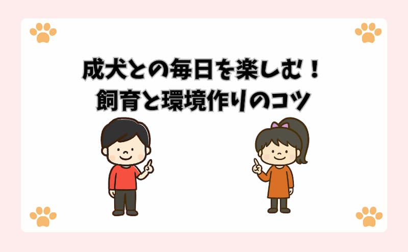 成犬との毎日を楽しむ！飼育と環境作りのコツ