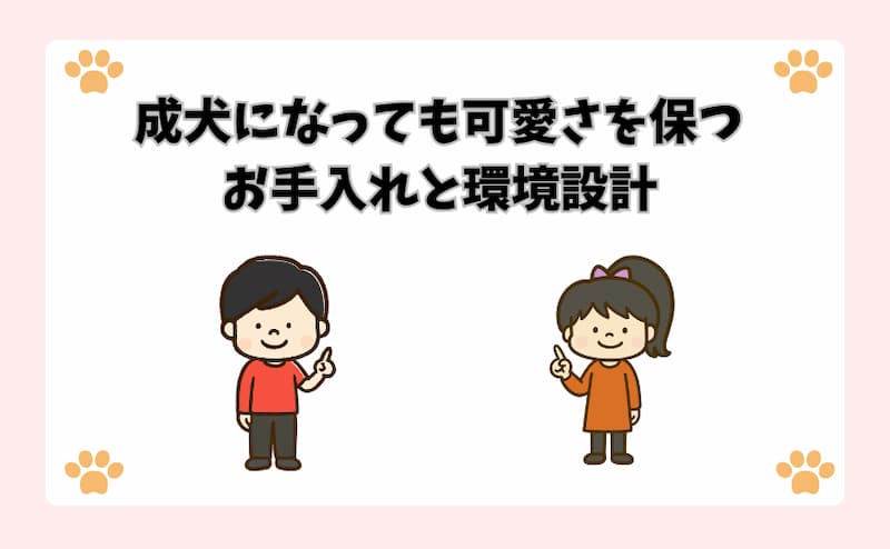 成犬になっても可愛さを保つお手入れと環境設計