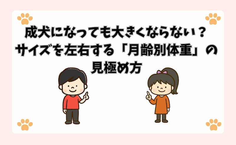 成犬になっても大きくならない？サイズを左右する「月齢別体重」の見極め方