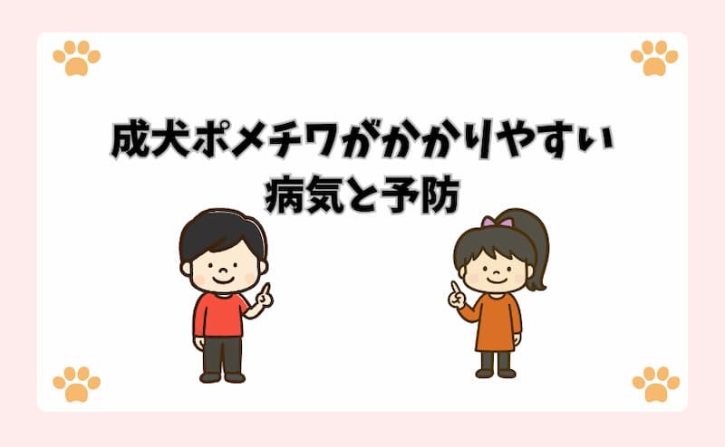 成犬ポメチワがかかりやすい病気と予防