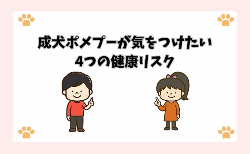 成犬ポメプーが気をつけたい4つの健康リスク