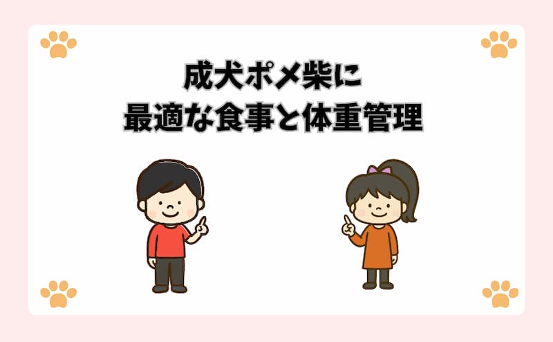 成犬ポメ柴に最適な食事と体重管理
