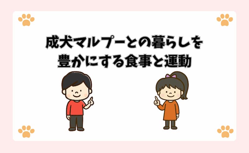 成犬マルプーとの暮らしを豊かにする食事と運動