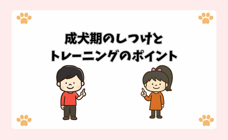 成犬期のしつけとトレーニングのポイント