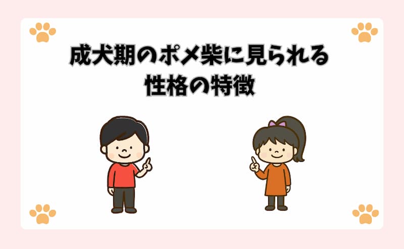 成犬期のポメ柴に見られる性格の特徴