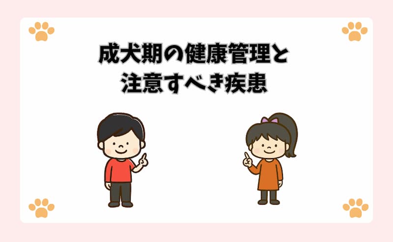 成犬期の健康管理と注意すべき疾患