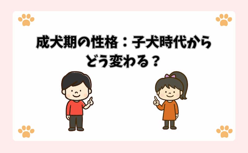 成犬期の性格：子犬時代からどう変わる？