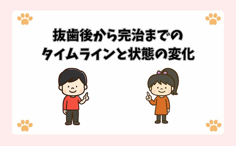 抜歯後から完治までのタイムラインと状態の変化