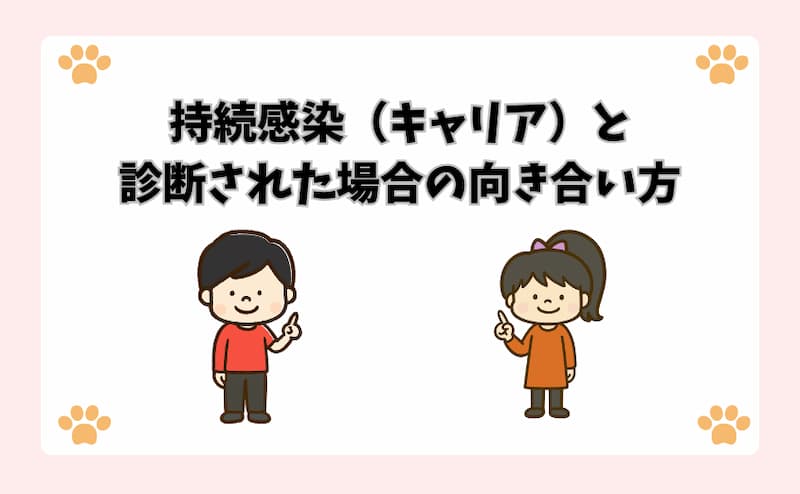 持続感染（キャリア）と診断された場合の向き合い方