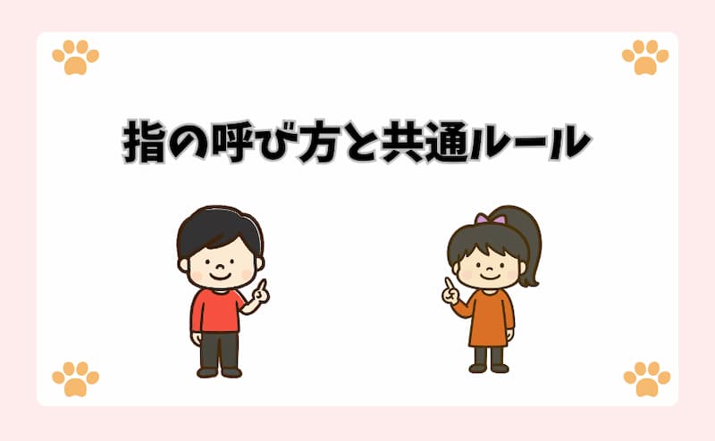 指の呼び方と共通ルール