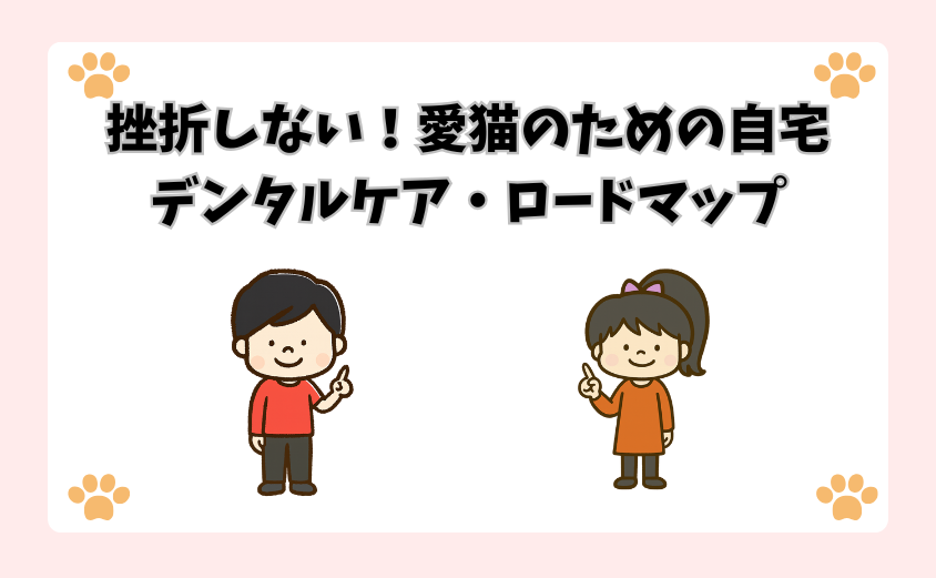 挫折しない！愛猫のための自宅デンタルケア・ロードマップ