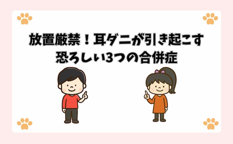 放置厳禁！耳ダニが引き起こす恐ろしい3つの合併症