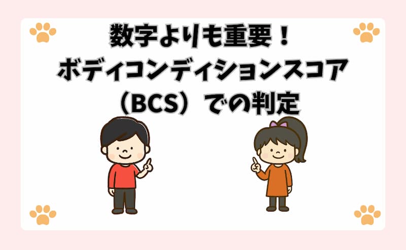 数字よりも重要！ボディコンディションスコア（BCS）での判定