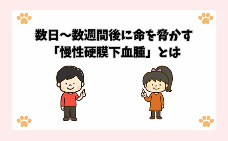 数日〜数週間後に命を脅かす「慢性硬膜下血腫」とは