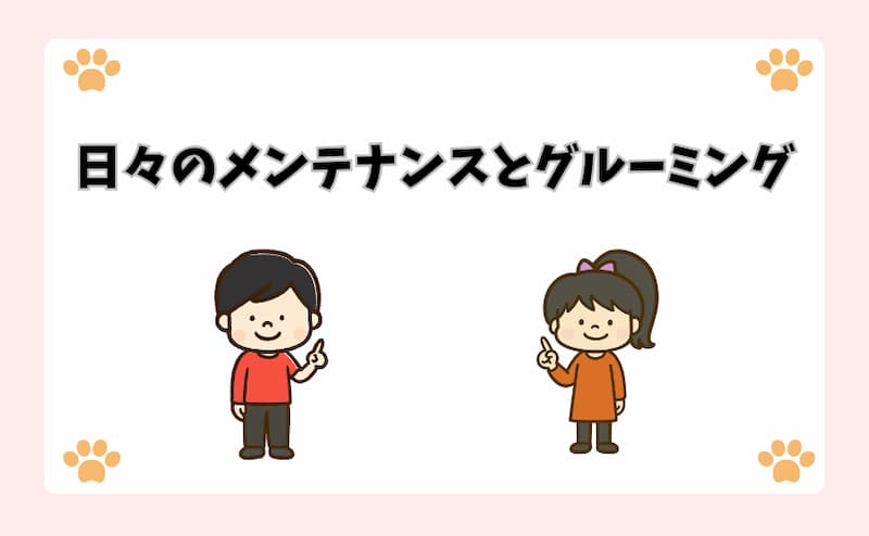 日々のメンテナンスとグルーミング
