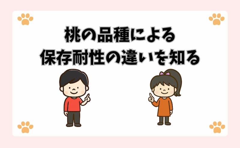 桃の品種による保存耐性の違いを知る