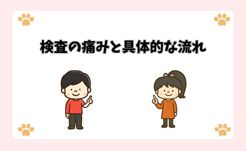 検査の痛みと具体的な流れ