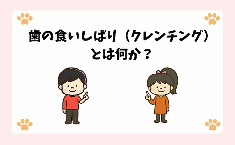 歯の食いしばり（クレンチング）とは何か？