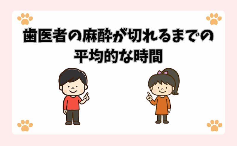 歯医者の麻酔が切れるまでの平均的な時間