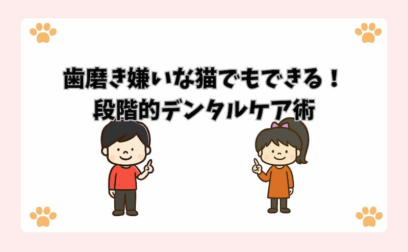 歯磨き嫌いな猫でもできる！段階的デンタルケア術