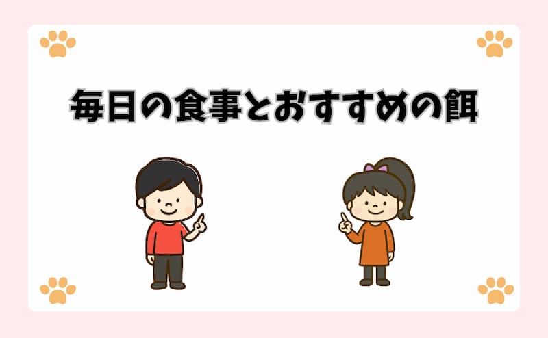 毎日の食事とおすすめの餌