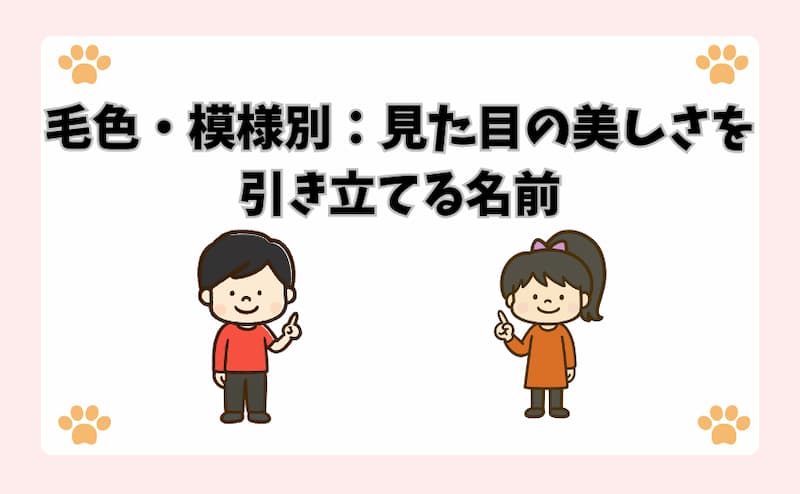 毛色・模様別：見た目の美しさを引き立てる名前