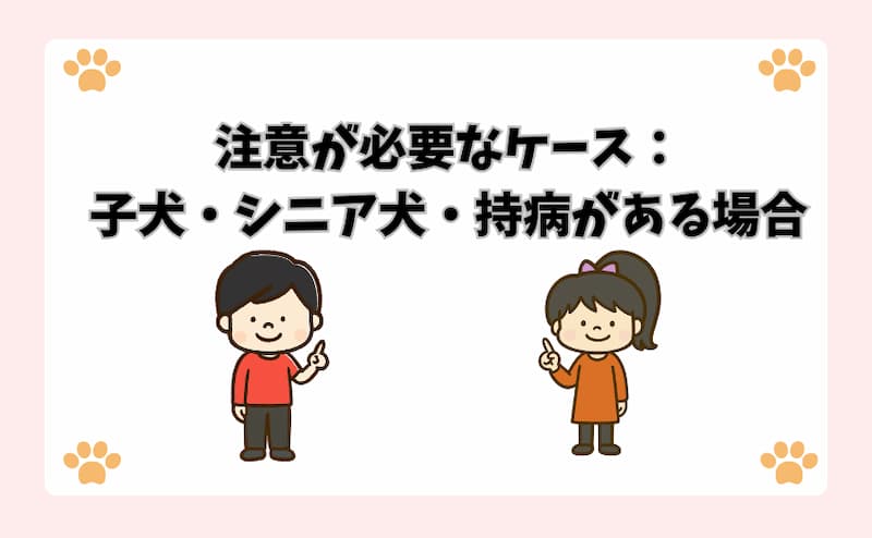注意が必要なケース：子犬・シニア犬・持病がある場合