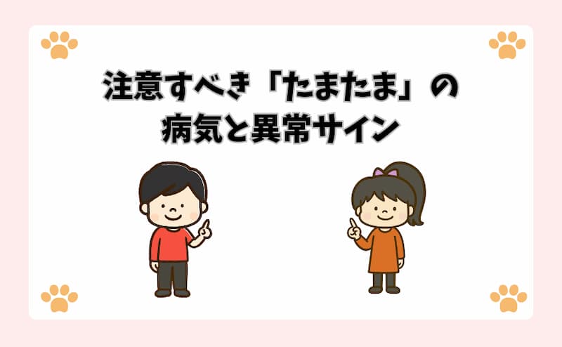 注意すべき「たまたま」の病気と異常サイン