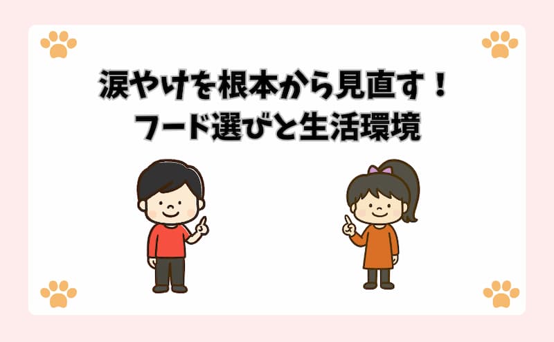 涙やけを根本から見直す！フード選びと生活環境