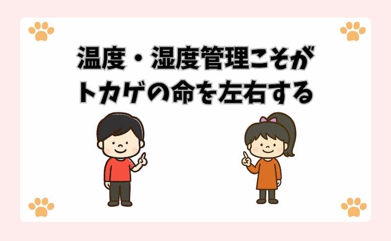 温度・湿度管理こそがトカゲの命を左右する