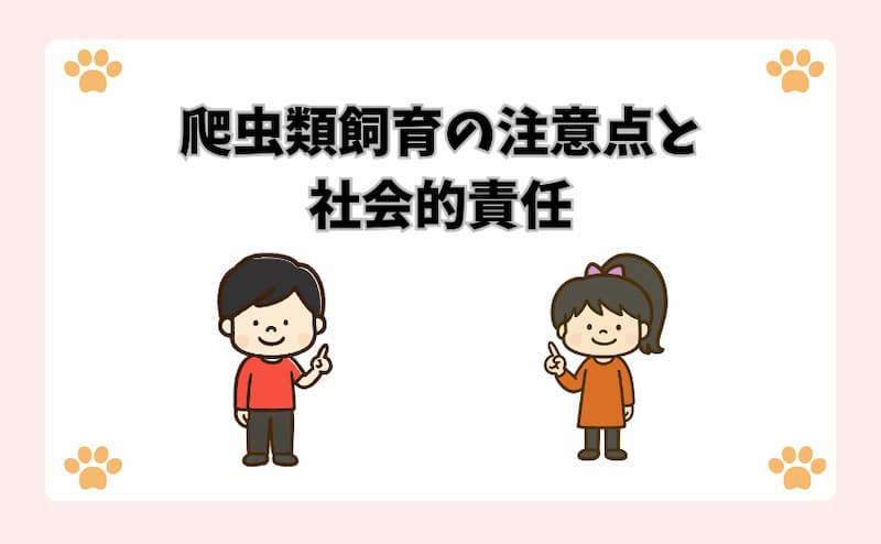 爬虫類飼育の注意点と社会的責任