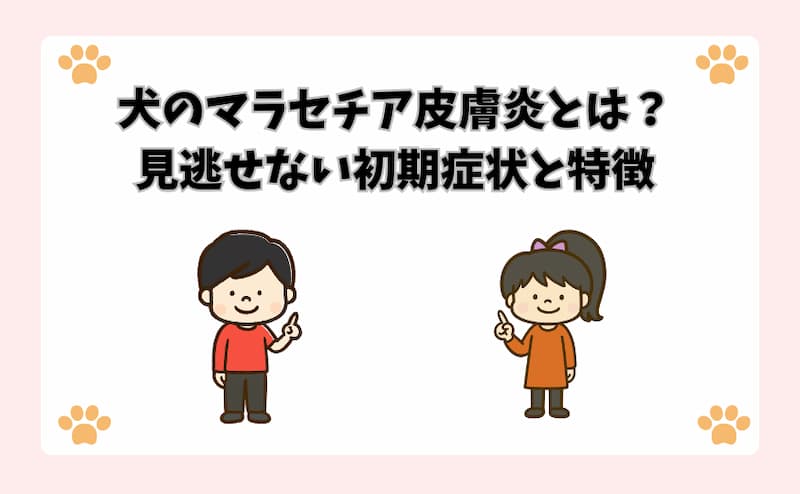 犬のマラセチア皮膚炎とは？見逃せない初期症状と特徴