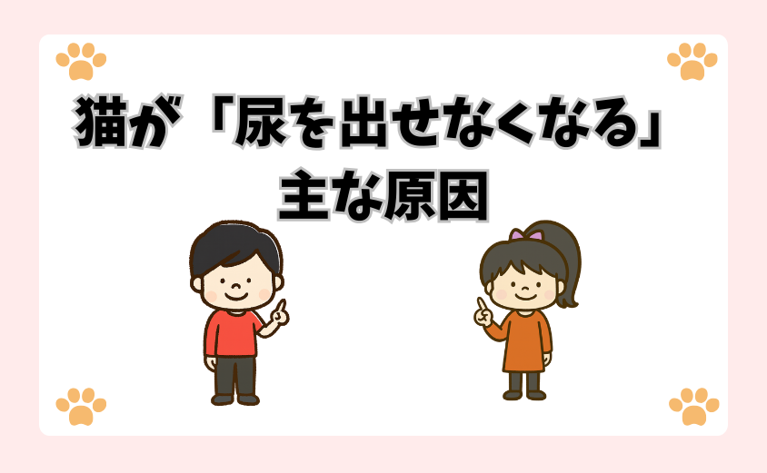 猫が「尿を出せなくなる」主な原因