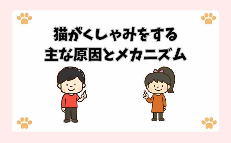 猫がくしゃみをする主な原因とメカニズム