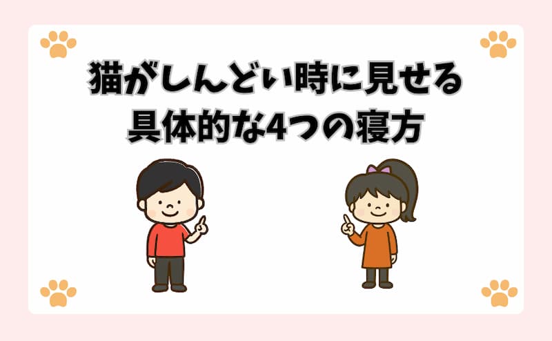 猫がしんどい時に見せる具体的な4つの寝方