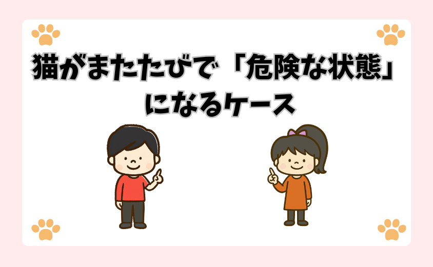 猫がまたたびで「危険な状態」になるケース