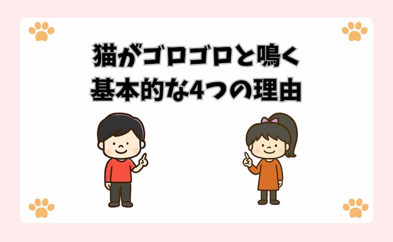 猫がゴロゴロと鳴く基本的な4つの理由