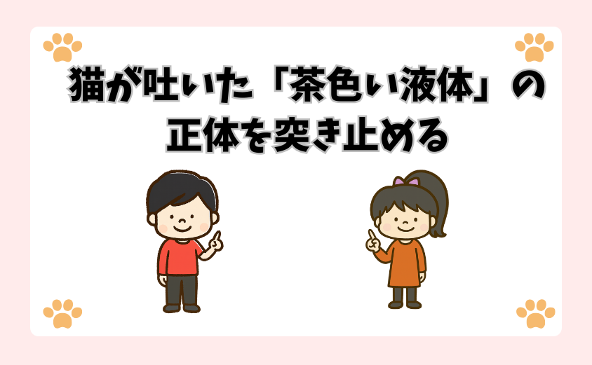 猫が吐いた「茶色い液体」の正体を突き止める