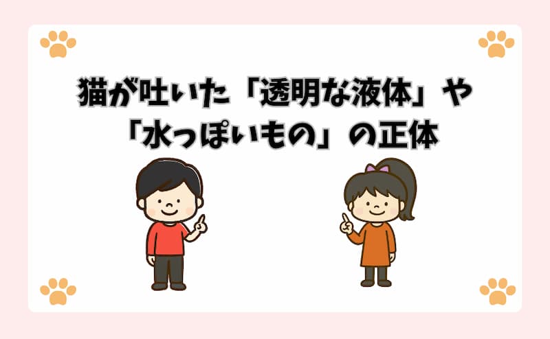 猫が吐いた「透明な液体」や「水っぽいもの」の正体