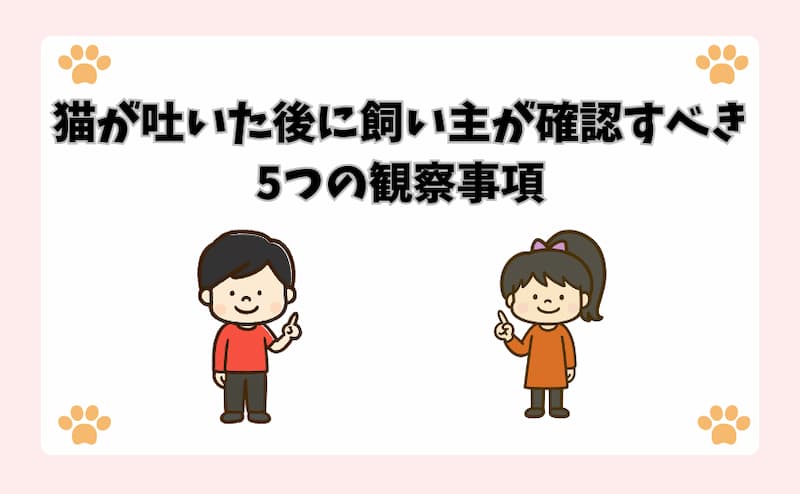 猫が吐いた後に飼い主が確認すべき5つの観察事項