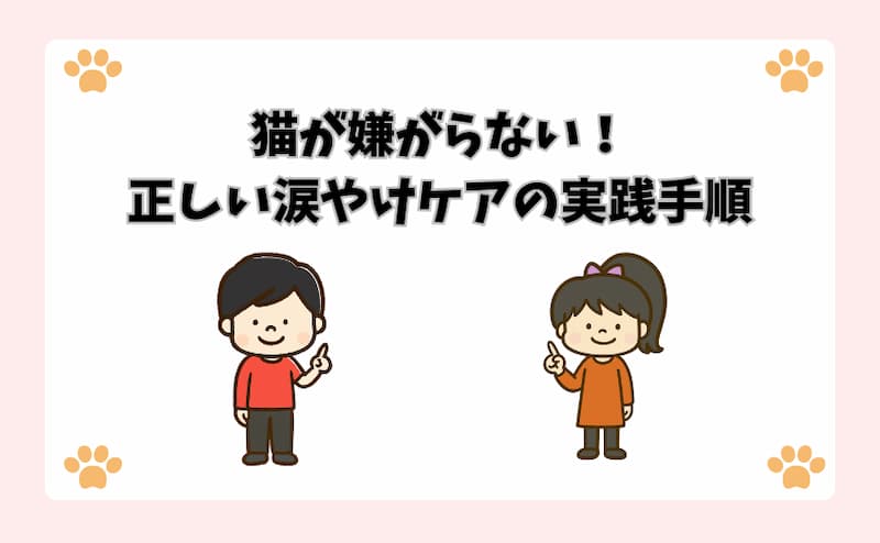 猫が嫌がらない！正しい涙やけケアの実践手順